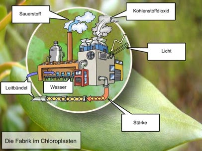 Schaubild für einen naturwissenschaftlichen Beitrag