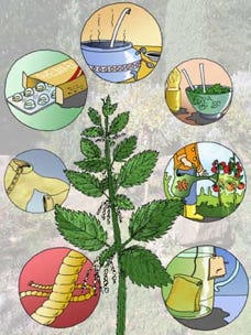 Illustration für einen naturwissenschaftlichen Beitrag