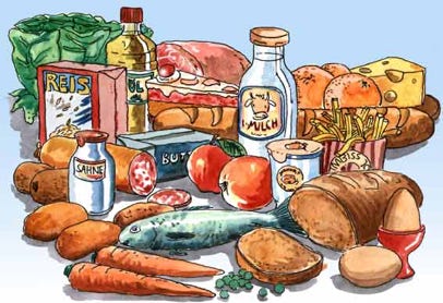 Illustration für einen naturwissenschaftlichen Beitrag