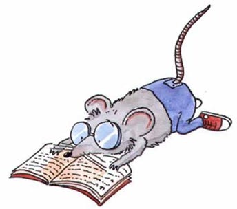 Illustration für ein Schulbuch