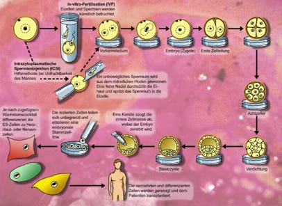 Schaubild für einen naturwissenschaftlichen Beitrag